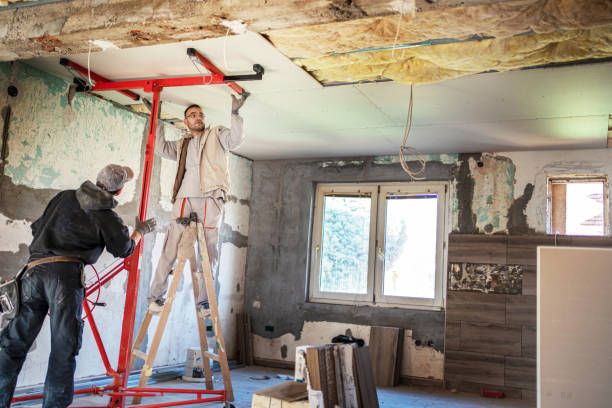 Best Residential Insulation in Elfers, FL