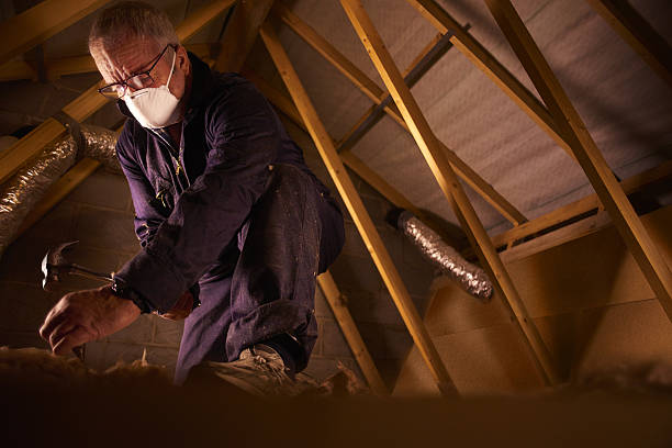 Best Insulation for Specific Applications in Elfers, FL